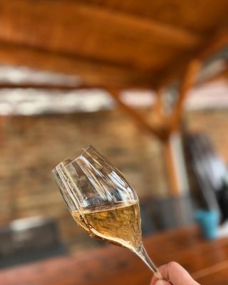 Trošku sektu před obědem 🙈😂🍾 #vinarstvibocko #vrbice #sekt #sabrage #brut #wine