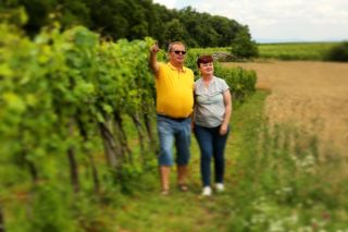 Říká se ,,Za každým úspěšným mužem hledej silnou ženu” tady to platí 100%🤩 paní I.Bočková je zapojena do všech prací ve...