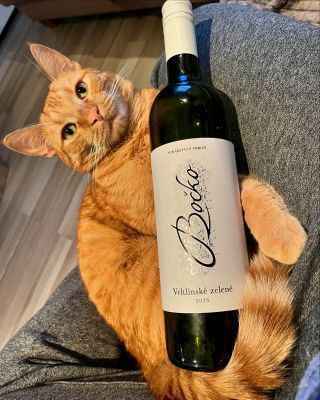 Tak Veltlín má snad každý rád🙈😂 je to krásná odrůda lehoučká a svěží 😉 můžete ho objednávat na našem e-shopu...