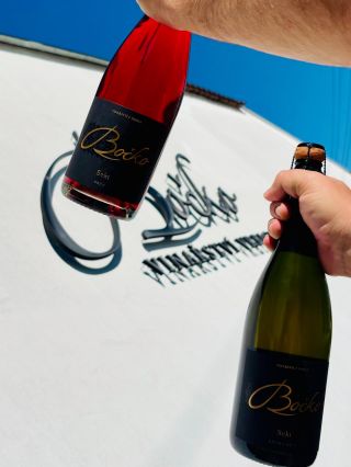 🍾 #vrbice #vinarivbice #vinarstvibocko #sekt